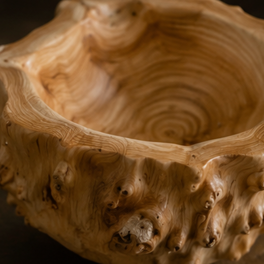 A close-up of a handcrafted wooden bowl with a highly textured, gnarled bark-like exterior and a smooth, carved interior showing natural wood grain patterns.